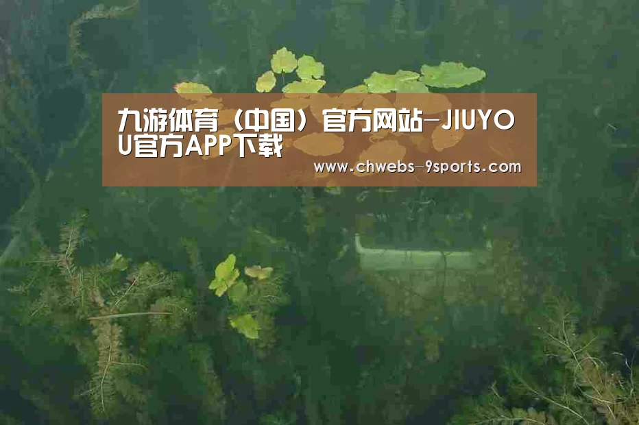 案例展示三